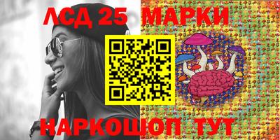 СК Будённовск