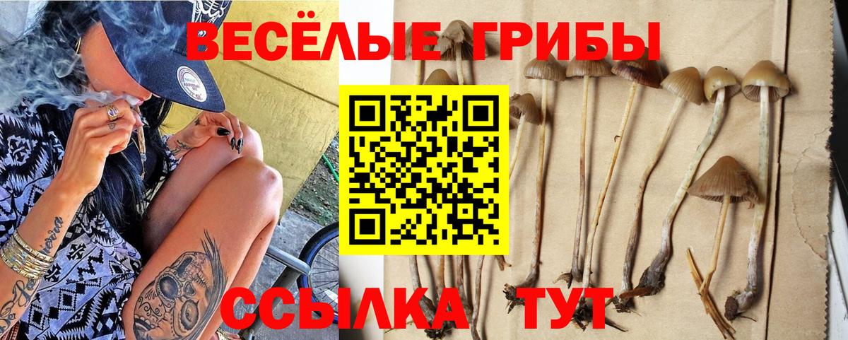 Новомосковск  Псилоцибиновые грибы MAGIC MUSHROOMS  Вход с VPN 